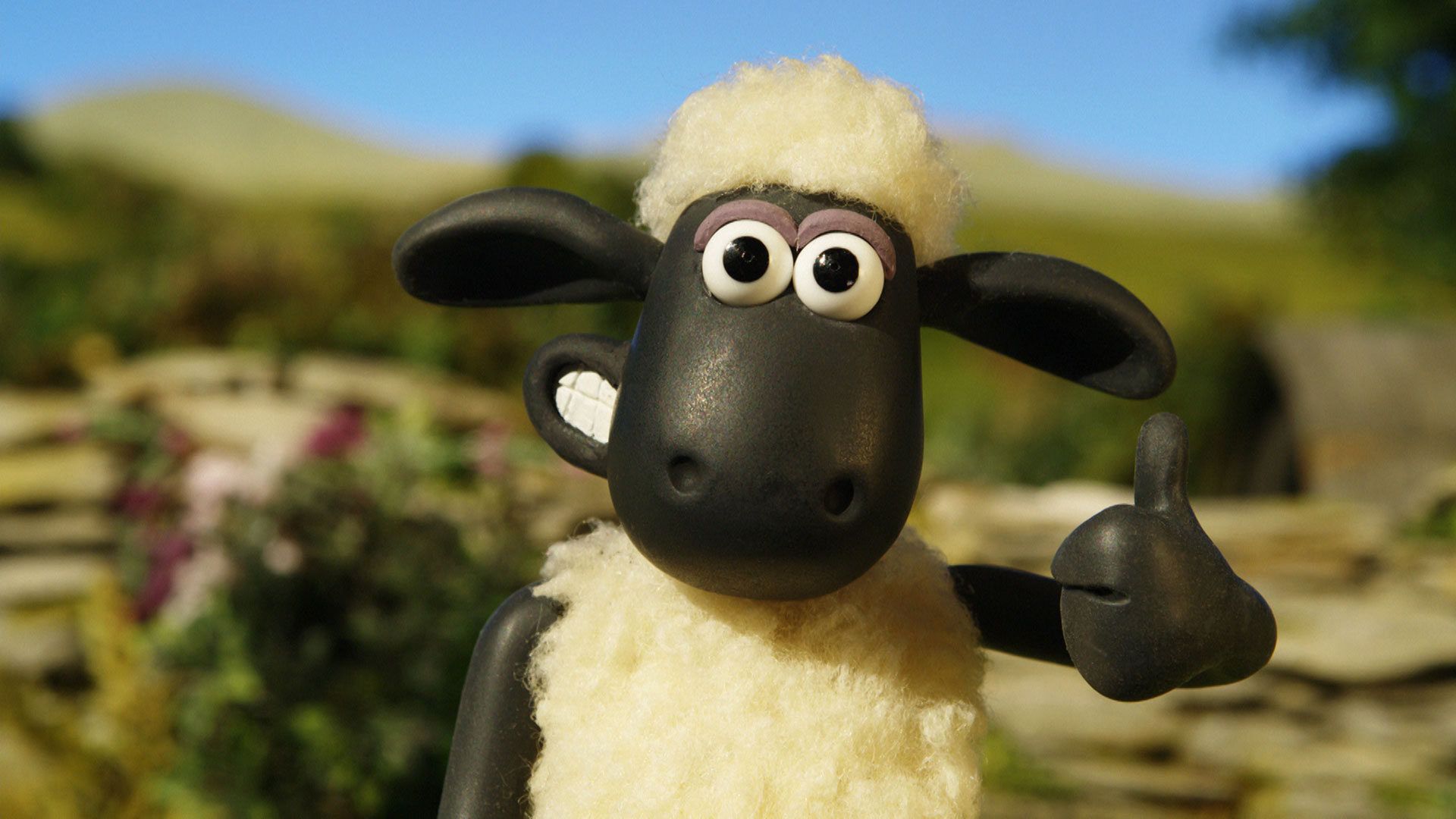 Shaun2